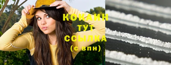 молекула духа Волосово