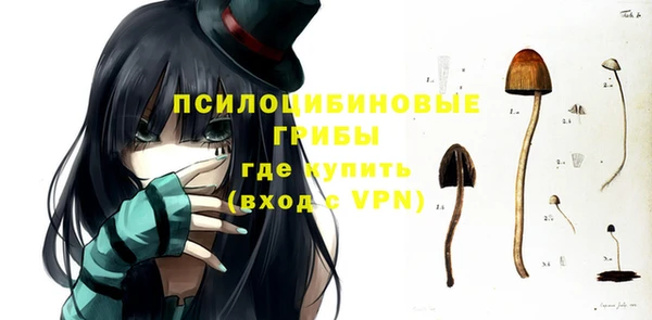 молекула духа Волосово