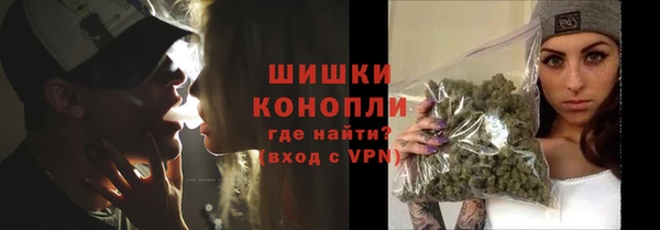 дживик Верея
