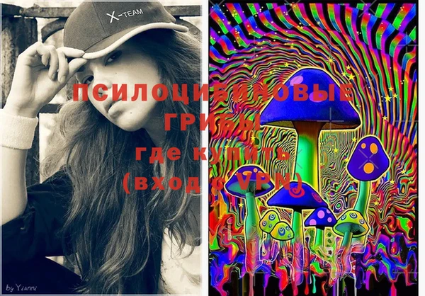 дживик Верея