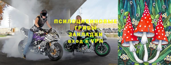 молекула духа Волосово