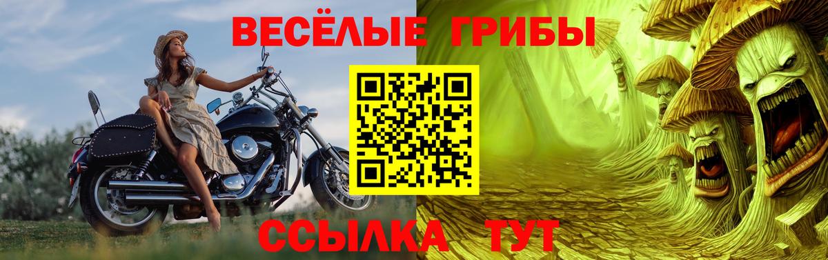 купить наркотики цена  Вход с VPN  Мариинск  Галлюциногенные грибы прущие грибы 