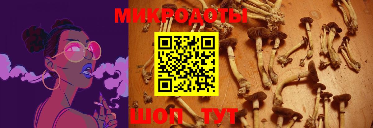 Псилоцибиновые грибы Cubensis Мариинск